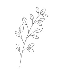 branch with leaves isolated icon