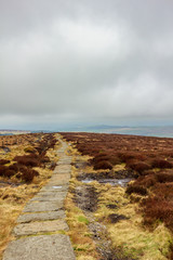A view of a stony path trail along heater in the hill under a white cloudy sky