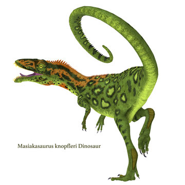 Masiakasaurus Dinosaur Tail with Font - Masiakasaurus was a carnivorous theropod dinosaur that lived in Madagascar during the Cretaceous Period.