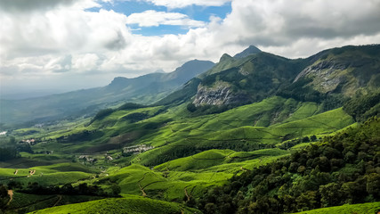 Obraz premium Tea estate beauty
