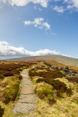 A view of a stony path trail along heater in the hill under a majestic blue sky and white clouds