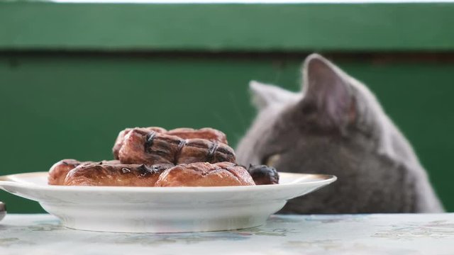 British cat looks at a plate of fried sausages on the table, wants to steal.