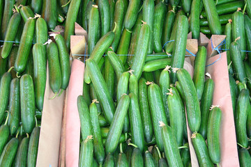 cucumbers at bazaar