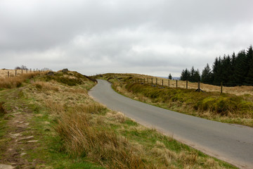 A view of a rural road lane with walking trail path, pine forest and green vegetation under a cloudy white sky