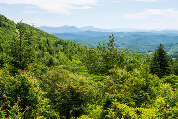 Scenic Grayson Highlands State Park in summer.