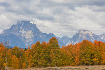 Scenic Autumn Landscape in the Tetons