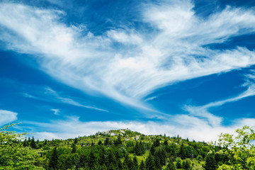 Clouds swirl across a mountain top on Grayson Highlands State Park.