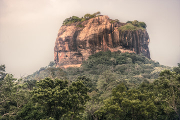 Fototapeta na wymiar Sri Lanka travel landscape of Sigiriya Lion rock mountain unesco landmark Sri Lanka