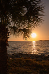 Sunset and palm tree on the beach of the inter coastal waterways of Florida, USA 