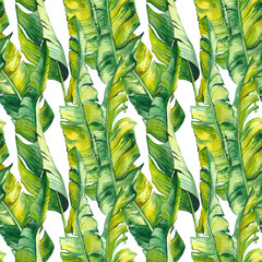 Seamless pattern with green tropical banana leaves. Watercolor illustration on white background.