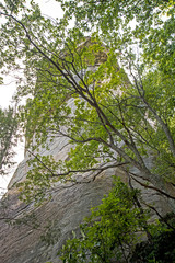 Abstract - tree and cliff scenery in spring season.