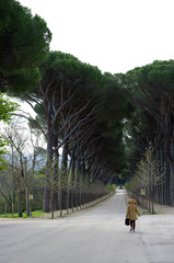 Femme marchant le long d'une allée bordée d'arbres