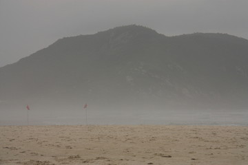 foggy beach