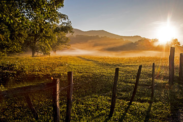 Early morning fog in the fields of Cades Cove.