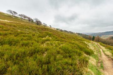A view of a grassy slope hill with some naked trees along a dirt path trail under a white cloudy sky