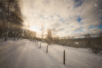 sun and snow with forest to the left and snow-covered fields to the right
