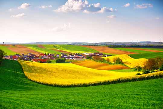 Green and yellow spring fields. Rural scene. Lower Austria