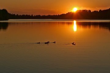 Obraz na płótnie Canvas Kostroma river at sunset. Kostroma, Russia.