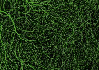 background and texture. beautiful graphic drawing. Thin branches on a contrasting background