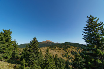 Landscape of Mount Hoverla is the highest mountain of the Ukrainian Carpathian Mountains, Chornohora