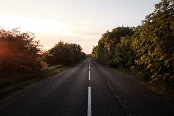 Fototapeta premium road in autumn