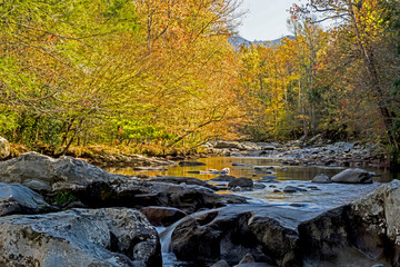 Obraz na płótnie Canvas Small creek in the Smokies during fall season.