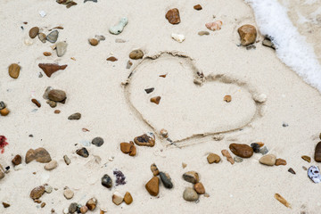 sea ​​beach with shells