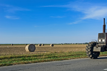 Wheat field after harvest