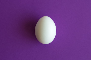 Top view of white egg isolated on purple creative abstract.