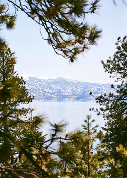 Snowy Lake Tahoe through the trees