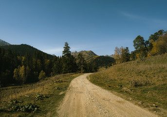 Fototapeta na wymiar road in the mountains