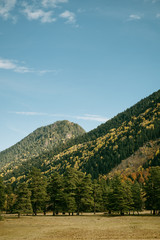 mountains in autumn