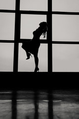 Sexy woman silhouette