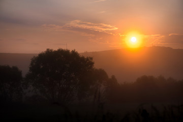 Beautiful morning in mountains. Thick fog covering the hills. Sunlight and rays trying to break through haze and trees