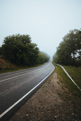 Fototapeta premium road in the forest