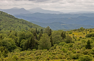 Scenic mountain vista in the summer season.