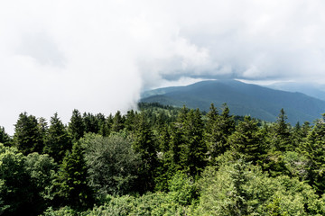 Scenic mountain vista in the summer season.
