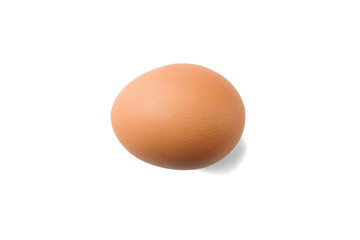 Chicken egg in horizontal position