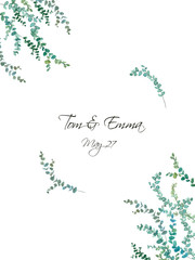 Watercolor eucalyptus drawing  for minimalistic wedding template. Hand painted plants, branches, leaves on white background. Greenery wedding invitation. Natural card design.