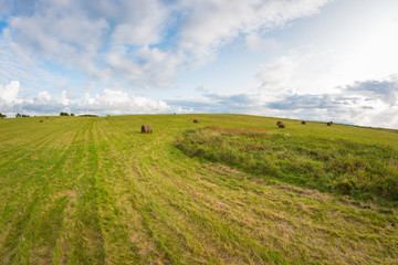 Obraz premium Stacks of hay in the green field in the evening. Cloudy sky