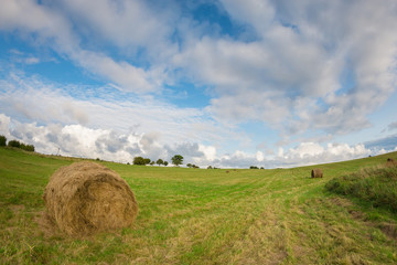 Stacks of hay in the green field in the evening. Cloudy sky