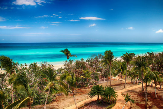 Varadero beach with tyrquis sea and ocean. There is a lot of green palms. Blue sky is in the background. It is beautiful natural bachground.