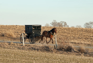 Amish Buggy Rural Road