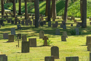 Naklejka premium Graves, paths and decorations in the forest at the Forest Cemetery