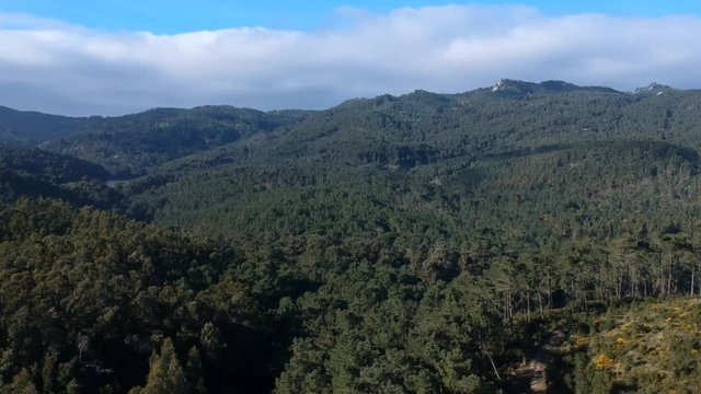 Aerial view of forest in a mountain. Drone shot. Sintra Portugal