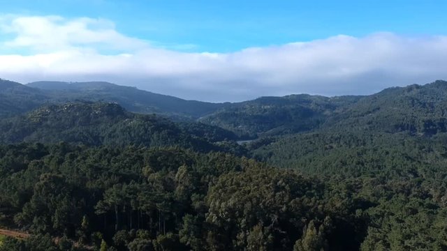 Aerial view of forest in a mountain. Drone shot. Sintra Portugal