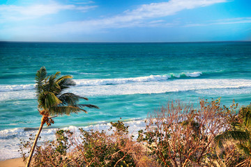Varadero beach with tyrquis sea and ocean. There is a lot of green palms. Blue sky is in the background. It is beautiful natural bachground. © Jana