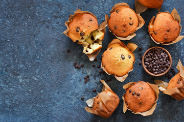 Vanilla muffins in paper form with chocolate drops on a concrete background. View from above.