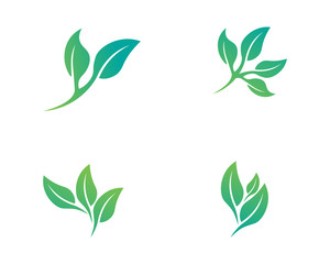 Tree leaf vector logo design, eco-friendly concept.