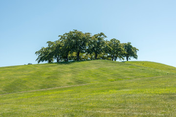 Almhöjden a memorial at the forest cemetery in Stockholm